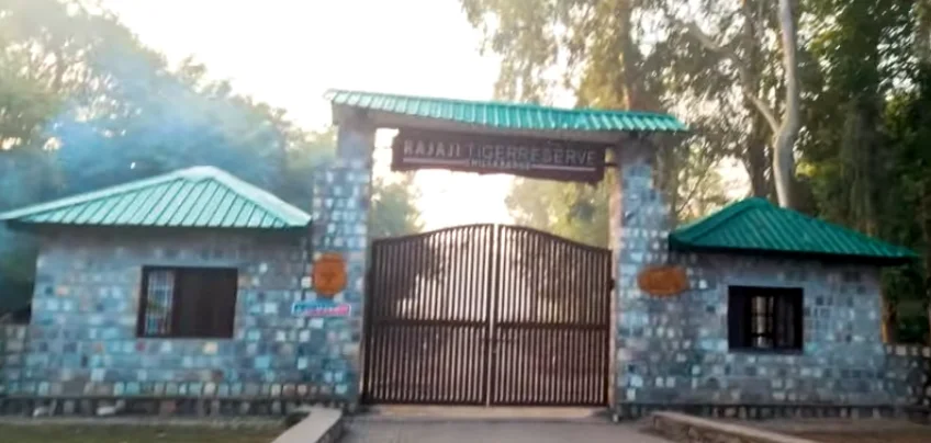 Rajaji National park,
tourist places in Rishikesh
solo travel culture