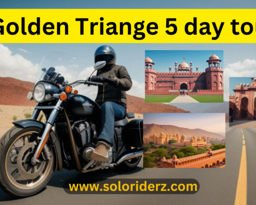 golden triangle 5 day tour - soloriderz