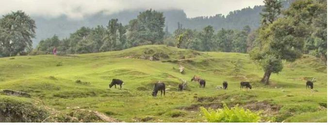 rohini bugiyal
travel destination
solo travel culture