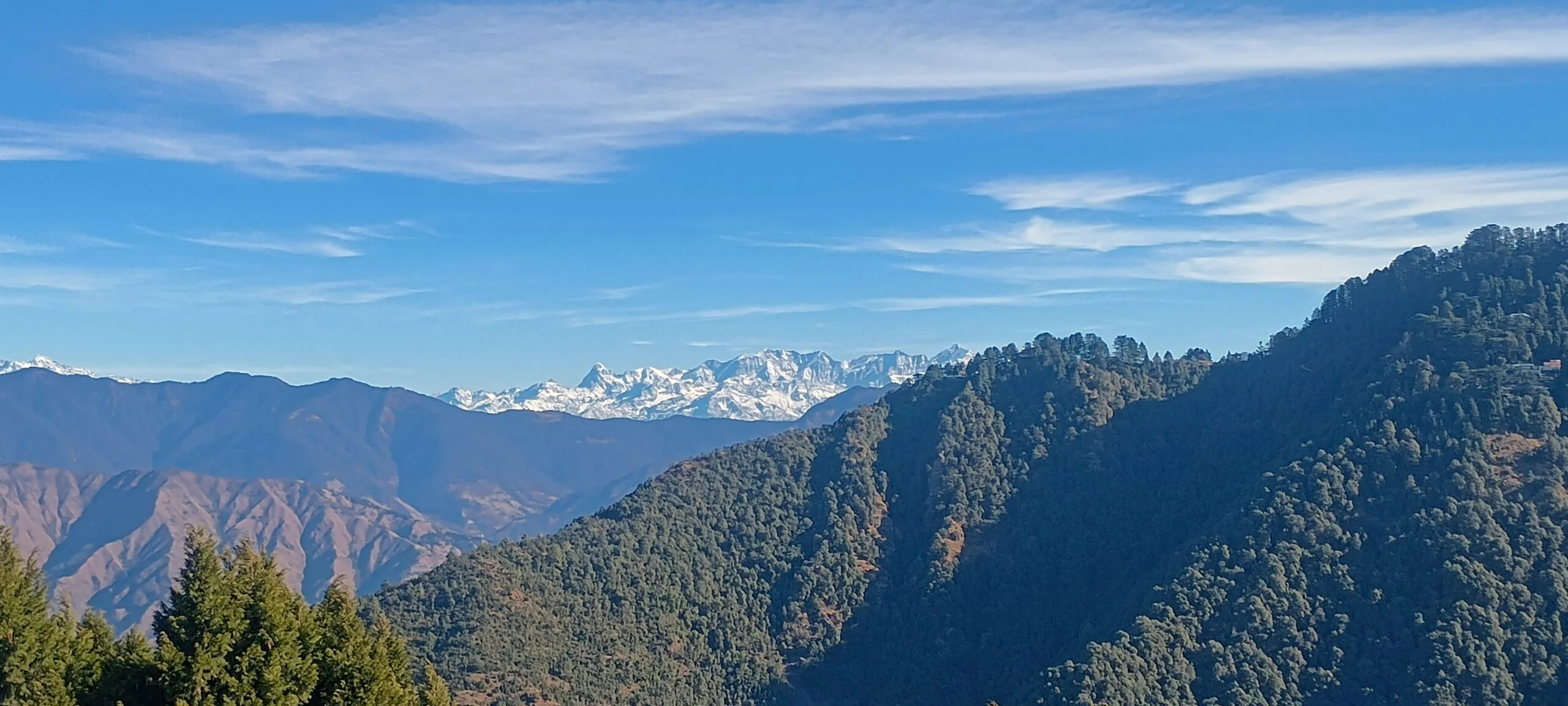 IMG_20250101_101945842