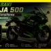 kawasaki ninja 500 E20 compliance www.soloriderz.com